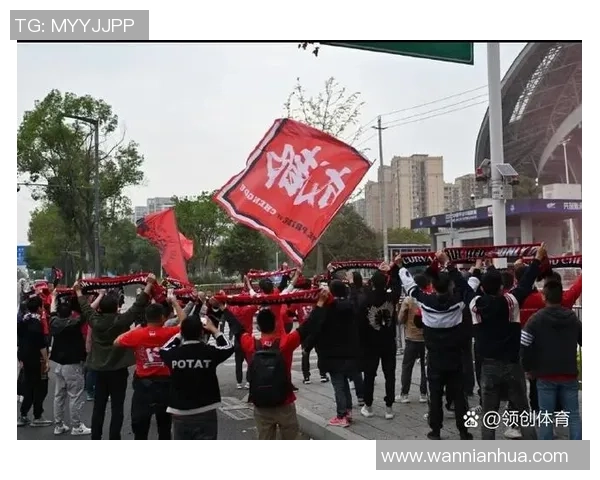 成都乒乓球队实力引发热议球迷观点分歧背后的深层原因分析